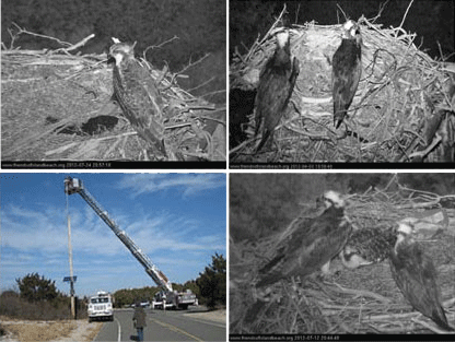 cctv-shop.by_news_Island_Beach